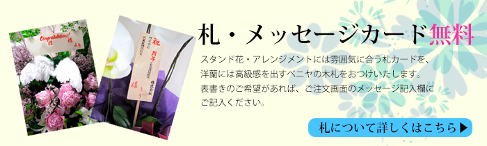 名札・メッセージカード無料!詳しくはこちら